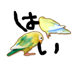 Real bird sticker2 sticker #7381243