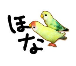 Real bird sticker2 sticker #7381244