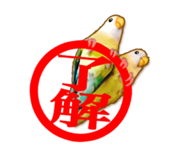 Real bird sticker2 sticker #7381246