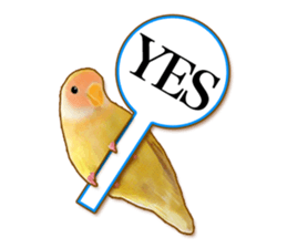 Real bird sticker2 sticker #7381248