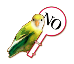 Real bird sticker2 sticker #7381249