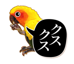 Real bird sticker2 sticker #7381251