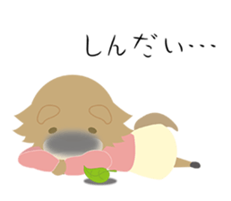 Speak the Tokushima dialect Raccoon sticker #7381562