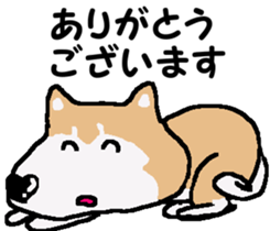 Shiba inu MOMO chan the third as well! 3 sticker #7383052