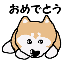 Shiba inu MOMO chan the third as well! 3 sticker #7383053