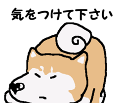 Shiba inu MOMO chan the third as well! 3 sticker #7383061