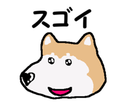 Shiba inu MOMO chan the third as well! 3 sticker #7383065