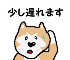 Shiba inu MOMO chan the third as well! 3 sticker #7383072