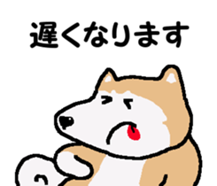 Shiba inu MOMO chan the third as well! 3 sticker #7383073