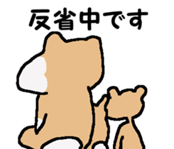 Shiba inu MOMO chan the third as well! 3 sticker #7383075