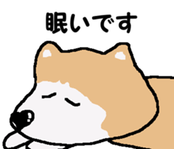 Shiba inu MOMO chan the third as well! 3 sticker #7383078