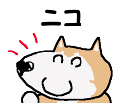 Shiba inu MOMO chan the third as well! 3 sticker #7383082