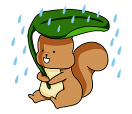 The squirrel daily life sticker #7386234