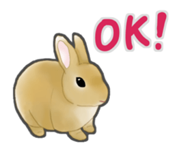 Real Rabbit [English] sticker #7388692