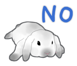Real Rabbit [English] sticker #7388693