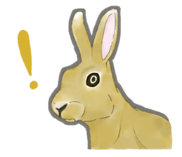 Real Rabbit [English] sticker #7388694