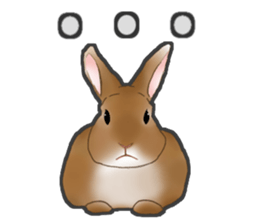 Real Rabbit [English] sticker #7388695