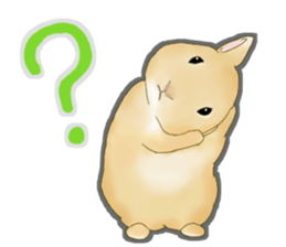 Real Rabbit [English] sticker #7388696