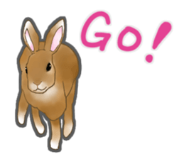 Real Rabbit [English] sticker #7388697