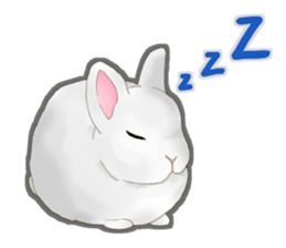 Real Rabbit [English] sticker #7388698
