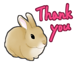 Real Rabbit [English] sticker #7388699