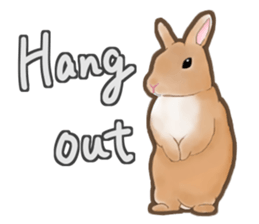 Real Rabbit [English] sticker #7388705