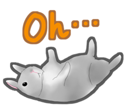 Real Rabbit [English] sticker #7388706