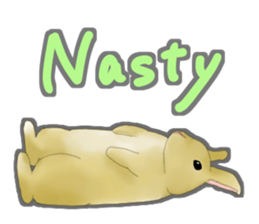 Real Rabbit [English] sticker #7388707