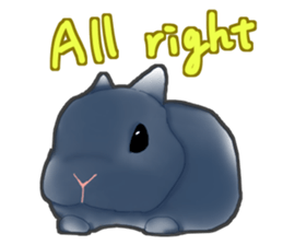 Real Rabbit [English] sticker #7388712