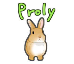 Real Rabbit [English] sticker #7388713