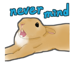 Real Rabbit [English] sticker #7388716