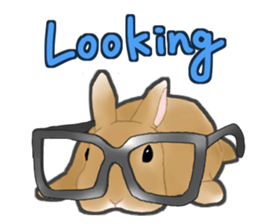 Real Rabbit [English] sticker #7388719