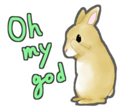 Real Rabbit [English] sticker #7388720