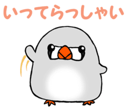 Feeling of a PUPU zebra finch sticker #7389453