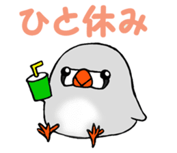 Feeling of a PUPU zebra finch sticker #7389462