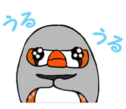 Feeling of a PUPU zebra finch sticker #7389485