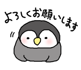 Pretty child penguin sticker #7389692