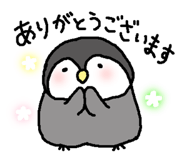 Pretty child penguin sticker #7389693