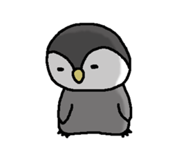 Pretty child penguin sticker #7389723