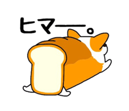Sticker of Corgi of white bread. sticker #7391245