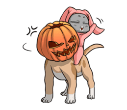 CatRabbit : Halloween Special sticker #7392043