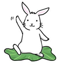 Hoya Bunny sticker #7394692