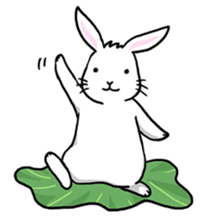 Hoya Bunny sticker #7394692