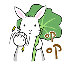 Hoya Bunny sticker #7394693