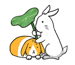 Hoya Bunny sticker #7394694
