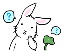 Hoya Bunny sticker #7394695