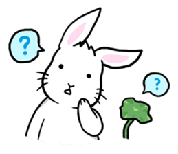 Hoya Bunny sticker #7394695