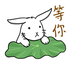 Hoya Bunny sticker #7394700