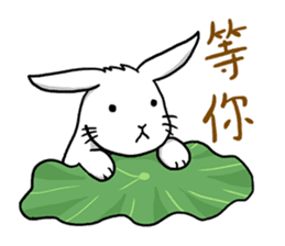 Hoya Bunny sticker #7394700