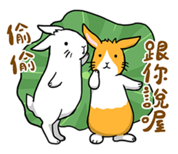 Hoya Bunny sticker #7394701